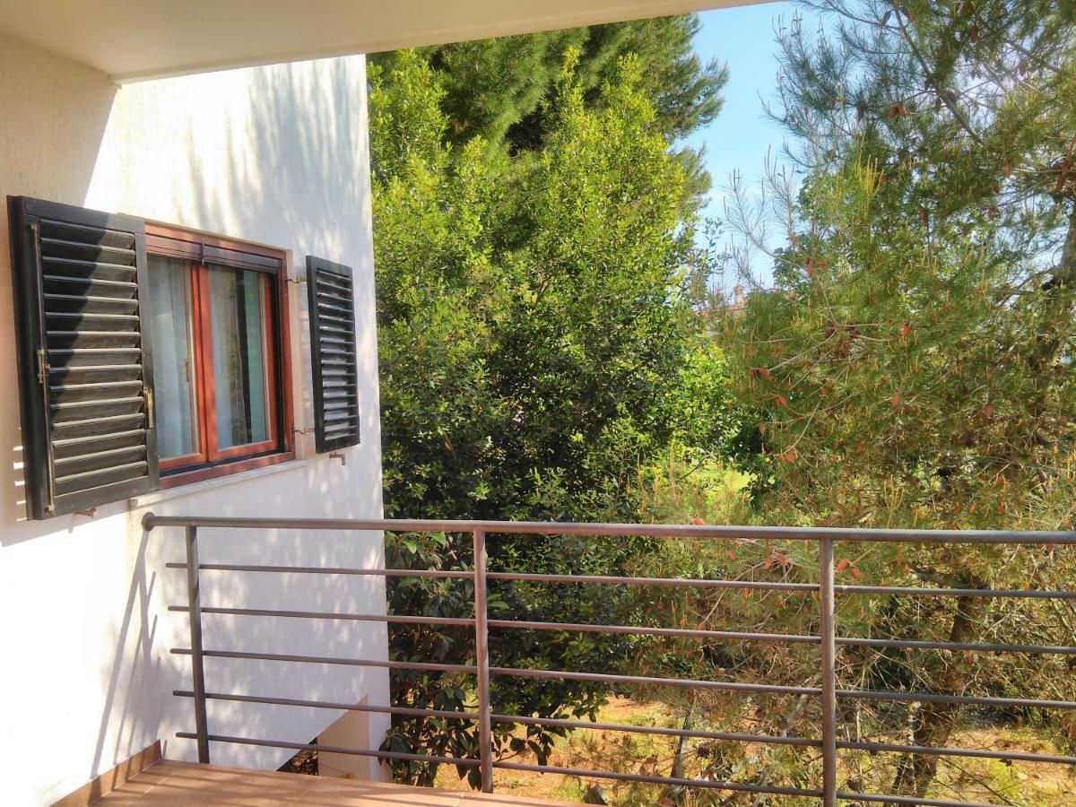 Apartmani Vinka Μεντουλίν Εξωτερικό φωτογραφία