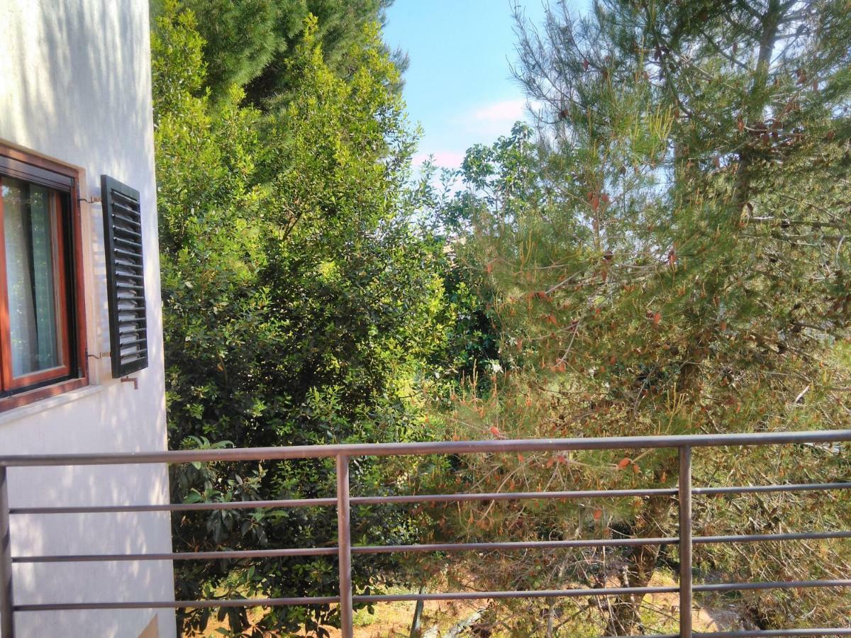 Apartmani Vinka Μεντουλίν Εξωτερικό φωτογραφία